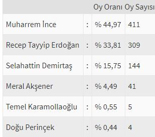 İşte ülke ülke yurtdışı seçim sonuçları! 95