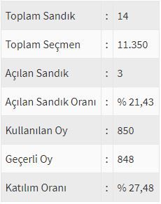 İşte ülke ülke yurtdışı seçim sonuçları! 96