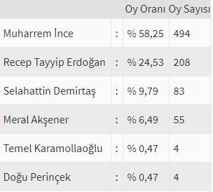İşte ülke ülke yurtdışı seçim sonuçları! 97
