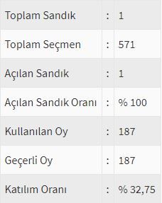 İşte ülke ülke yurtdışı seçim sonuçları! 98