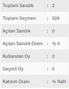 İşte ülke ülke yurtdışı seçim sonuçları! 102