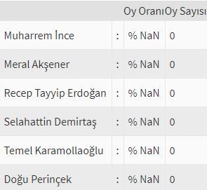 İşte ülke ülke yurtdışı seçim sonuçları! 103