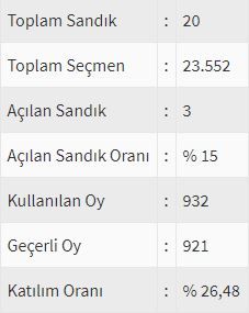 İşte ülke ülke yurtdışı seçim sonuçları! 104