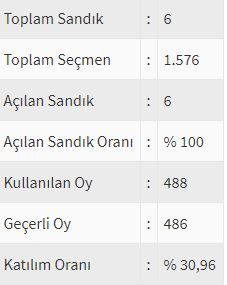 İşte ülke ülke yurtdışı seçim sonuçları! 108