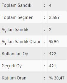 İşte ülke ülke yurtdışı seçim sonuçları! 110