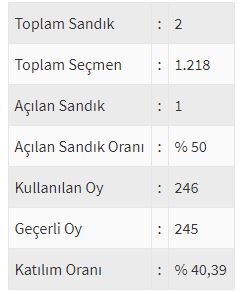 İşte ülke ülke yurtdışı seçim sonuçları! 112