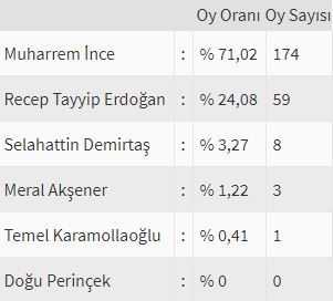 İşte ülke ülke yurtdışı seçim sonuçları! 113