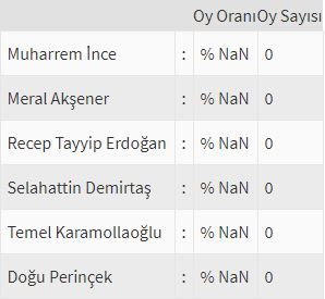 İşte ülke ülke yurtdışı seçim sonuçları! 118