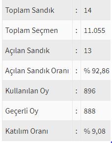 İşte ülke ülke yurtdışı seçim sonuçları! 119