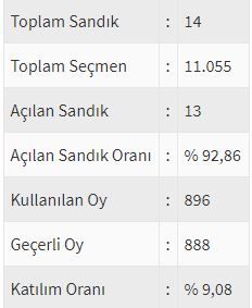 İşte ülke ülke yurtdışı seçim sonuçları! 120