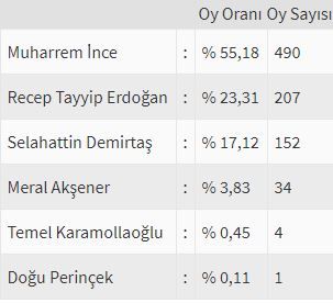 İşte ülke ülke yurtdışı seçim sonuçları! 121