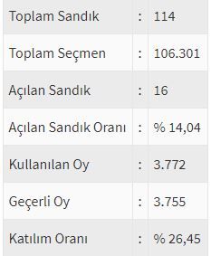 İşte ülke ülke yurtdışı seçim sonuçları! 124