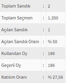 İşte ülke ülke yurtdışı seçim sonuçları! 126
