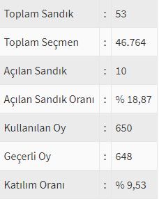İşte ülke ülke yurtdışı seçim sonuçları! 128