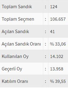 İşte ülke ülke yurtdışı seçim sonuçları! 130