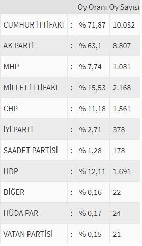 İşte ülke ülke yurtdışı seçim sonuçları! 131