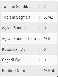 İşte ülke ülke yurtdışı seçim sonuçları! 132