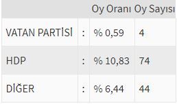 İşte ülke ülke yurtdışı seçim sonuçları! 135