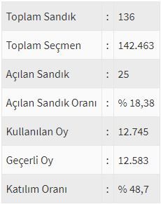 İşte ülke ülke yurtdışı seçim sonuçları! 136