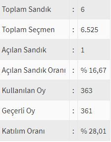 İşte ülke ülke yurtdışı seçim sonuçları! 138