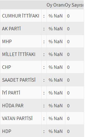 İşte ülke ülke yurtdışı seçim sonuçları! 141