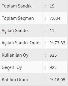 İşte ülke ülke yurtdışı seçim sonuçları! 142