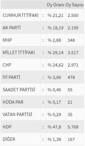 İşte ülke ülke yurtdışı seçim sonuçları! 145