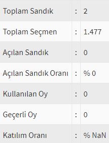 İşte ülke ülke yurtdışı seçim sonuçları! 146
