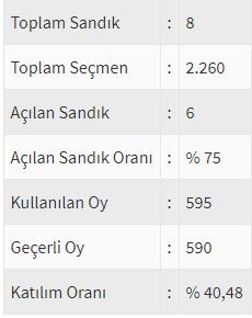 İşte ülke ülke yurtdışı seçim sonuçları! 150