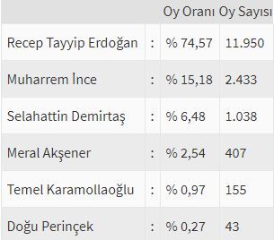 İşte ülke ülke yurtdışı seçim sonuçları! 16