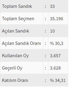 İşte ülke ülke yurtdışı seçim sonuçları! 152