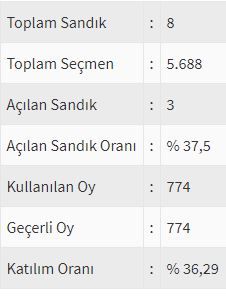 İşte ülke ülke yurtdışı seçim sonuçları! 154