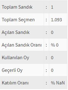 İşte ülke ülke yurtdışı seçim sonuçları! 158
