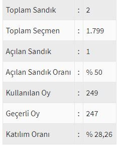 İşte ülke ülke yurtdışı seçim sonuçları! 160