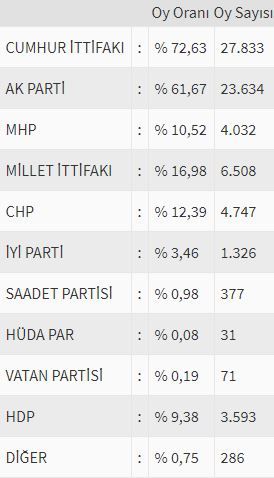 İşte ülke ülke yurtdışı seçim sonuçları! 163