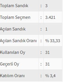 İşte ülke ülke yurtdışı seçim sonuçları! 164