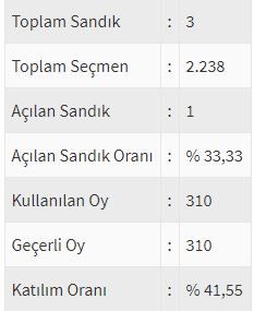 İşte ülke ülke yurtdışı seçim sonuçları! 168