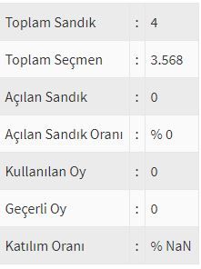 İşte ülke ülke yurtdışı seçim sonuçları! 170