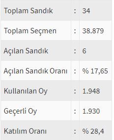 İşte ülke ülke yurtdışı seçim sonuçları! 174