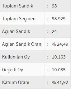 İşte ülke ülke yurtdışı seçim sonuçları! 176