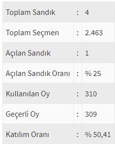 İşte ülke ülke yurtdışı seçim sonuçları! 19