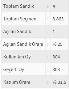 İşte ülke ülke yurtdışı seçim sonuçları! 180