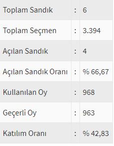 İşte ülke ülke yurtdışı seçim sonuçları! 184