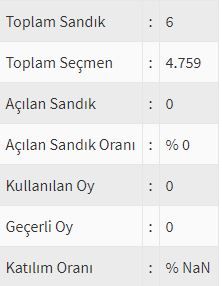 İşte ülke ülke yurtdışı seçim sonuçları! 196