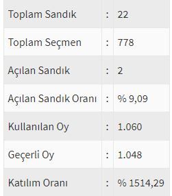 İşte ülke ülke yurtdışı seçim sonuçları! 198