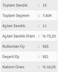 İşte ülke ülke yurtdışı seçim sonuçları! 21