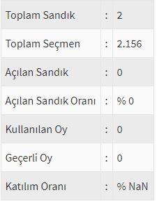 İşte ülke ülke yurtdışı seçim sonuçları! 200