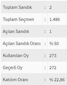 İşte ülke ülke yurtdışı seçim sonuçları! 206