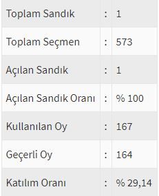 İşte ülke ülke yurtdışı seçim sonuçları! 208