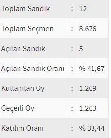 İşte ülke ülke yurtdışı seçim sonuçları! 210